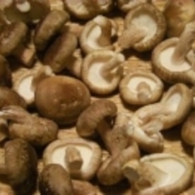 安全 安心 自家製椎茸の乾燥保存 レシピ 作り方 By ブルーボリジ 楽天レシピ